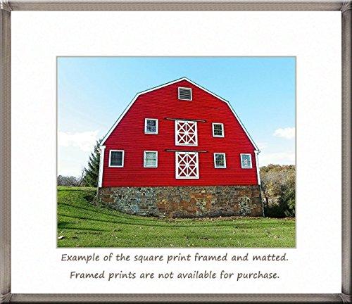 Generic Big Red Dairy Barn. A fine art photograph of a pretty red dairy barn with a Gambrel roof. Wonderful double-X brace doors!