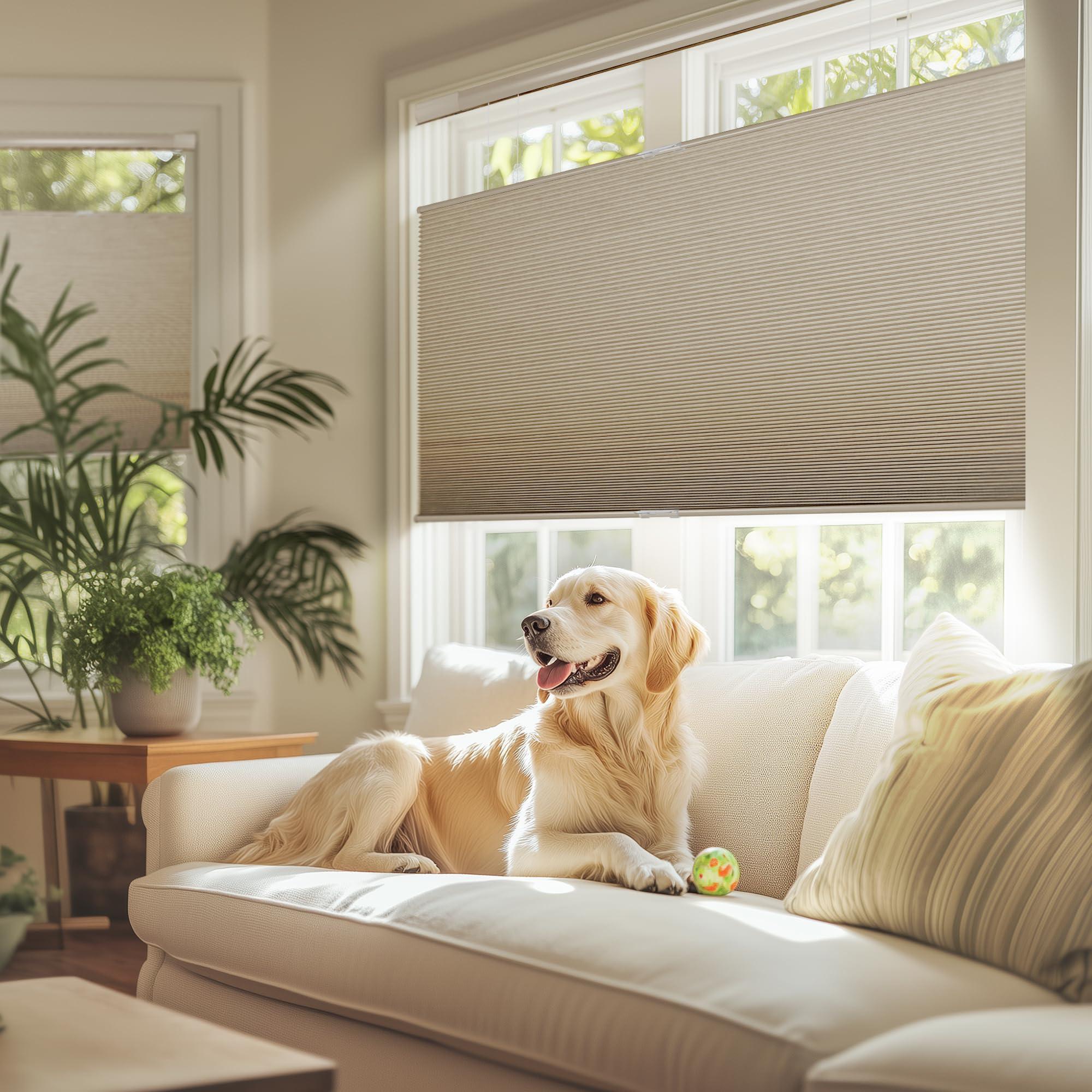 Sulugood Sulugood No Tools No Drill Honeycomb Blinds Top Down Bottom Up Cellular Shades No Screw Tension Blinds for Windows Easy to Install 24" W x 78" H ?100% Blackout Dark Brown