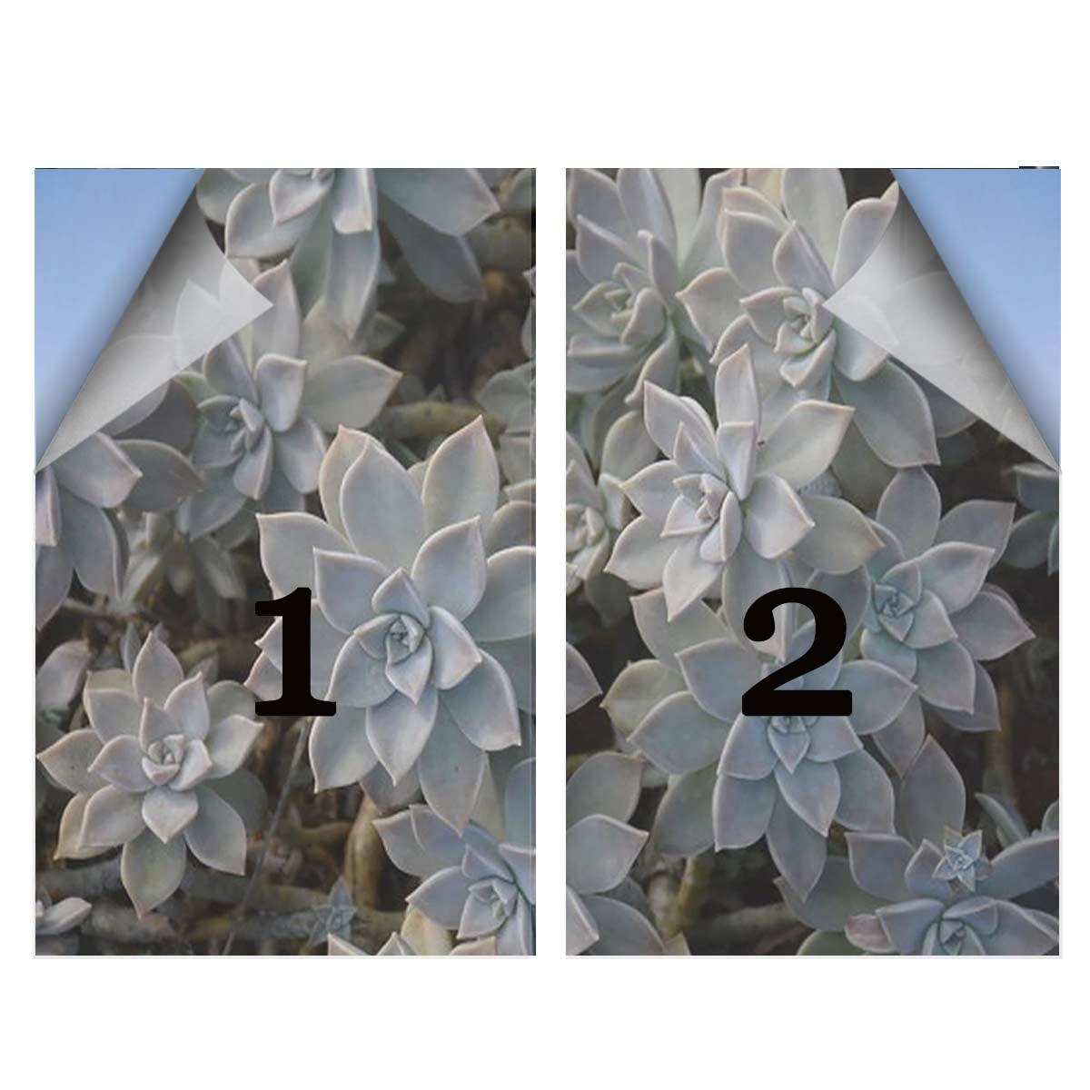 Generic Green Decorative Vinyl Window Film Frosted Glass Sticker Static Cling Window Covering for Privacy Decoration Cute Succulents Flower Desert Frosted Glass Film 27.6Wx47.2L-inch x2 Pcs