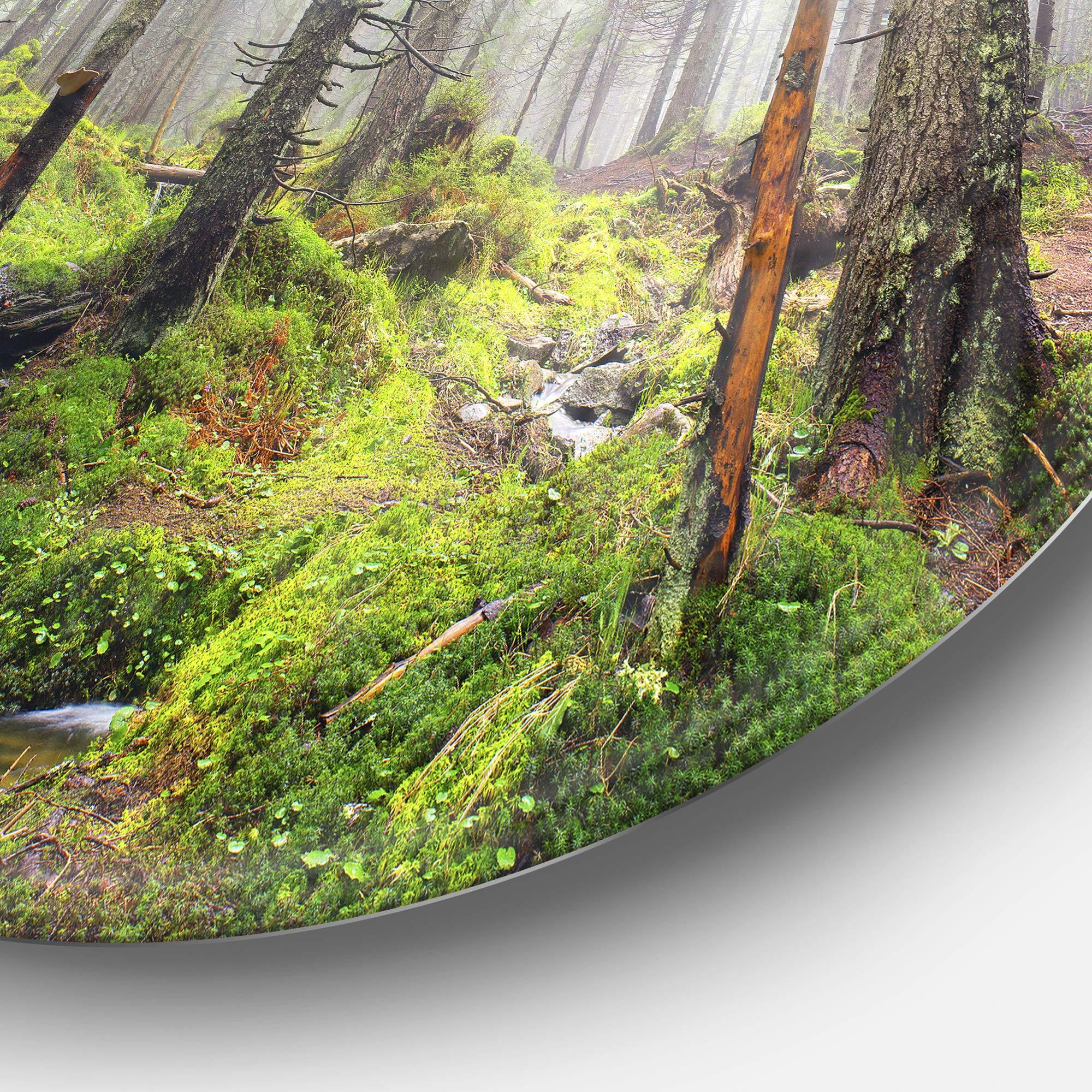 Designart Designart Bright Green Carpathian Forest-Landscape Photo Metal Wall Art-Disc of 23, 23\'\' H x 23\'\' W x 1\'\' D 1P