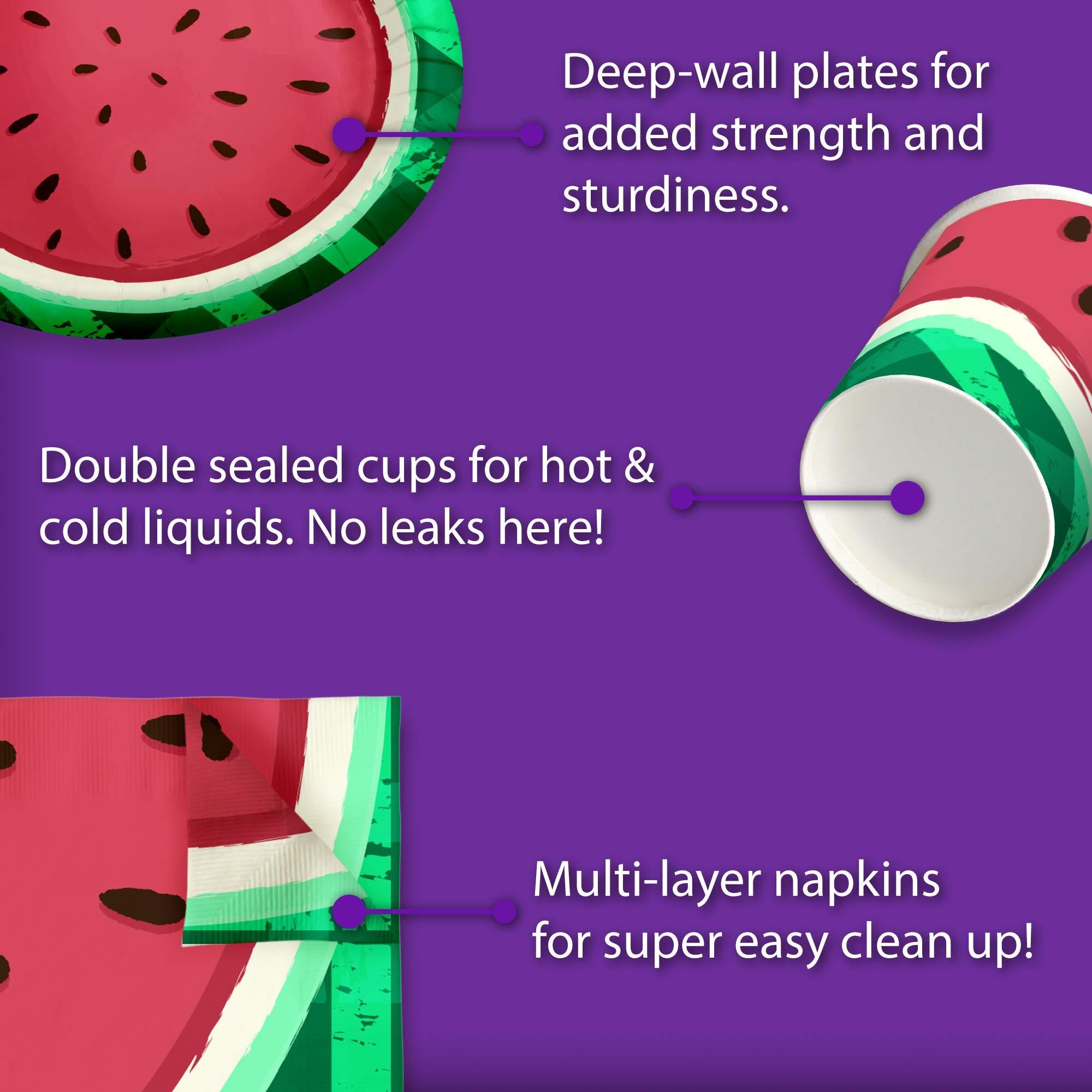 Birthday Galore Watermelon Birthday Party Supplies Set Plates Napkins Cups Tableware Kit for 16