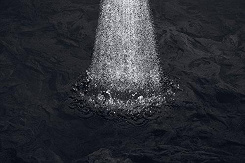 Kohler KOHLER K-17493-BN Flipside Handshower, Brushed Nickel