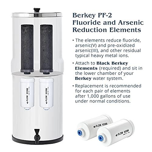 Berkey Berkey Light Gravity-Fed Water Filter with 2 Black Berkey Elements and 2 Berkey PF-2 Fluoride and Arsenic Reduction Elements