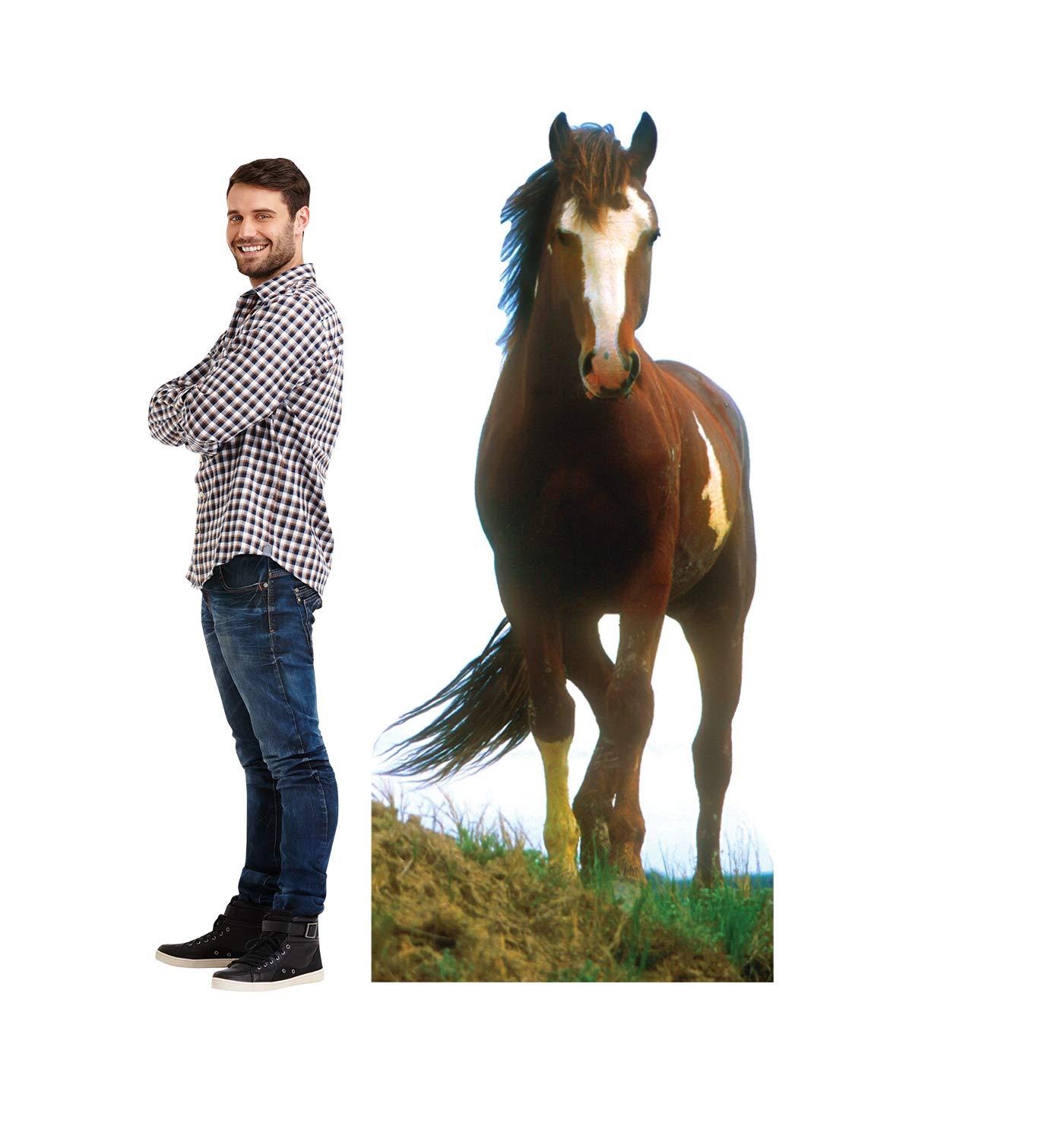 Cardboard People Cardboard People Mustang Horse Life Size Cardboard Cutout Standup