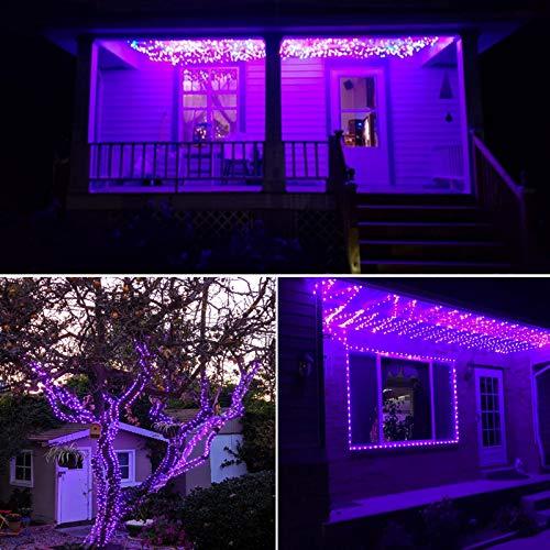 RUICHEN RUICHEN Dimmable Purple Fairy Lights Plug in, Super Long 165 Ft 500 LED Twinkle String Lights with Remote, Waterproof Silver Wire Lights for Christmas Halloween Party Bedroom Patio Garden