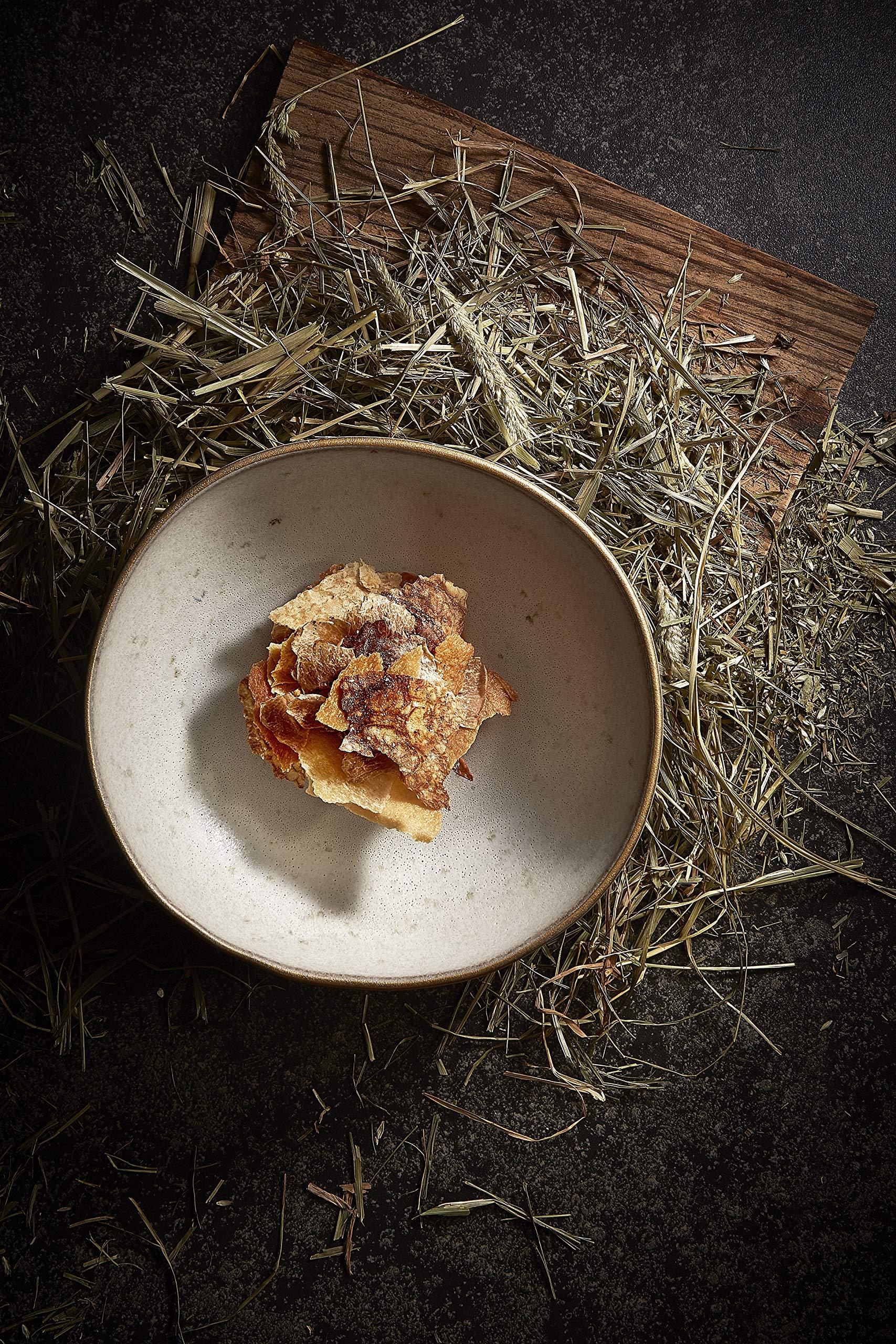 Vista Alegre Casa Alegre Gold Stone Bronze Dessert Luncheon Plates, Set of 6