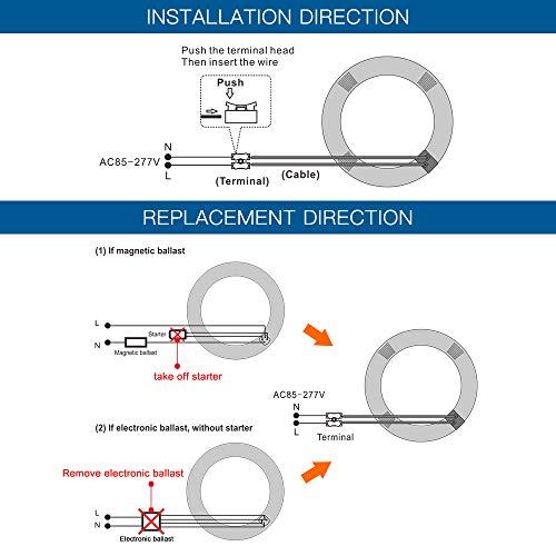 iledlight T9 LED Circline Light Bulb, 8 Inch 1600LM LED Circular Light, 13W Clear Cover 6000K Daylight Replacement for FC8T9/CW 22-Watt Fluorescent Circular Bulb(FC8T9/CW), Ballast Bypass Required