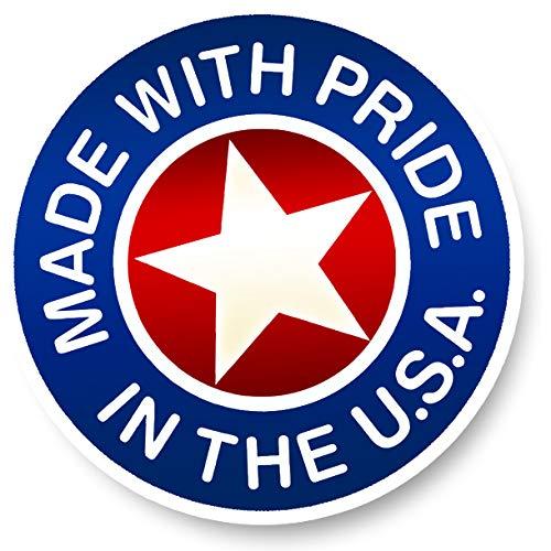 Classic Magnets Made with Pride in the USA Nevada Jumbo State Magnet by Classic Magnets, 2.7\" x 4.3\", Collectible Souvenirs Made in The USA