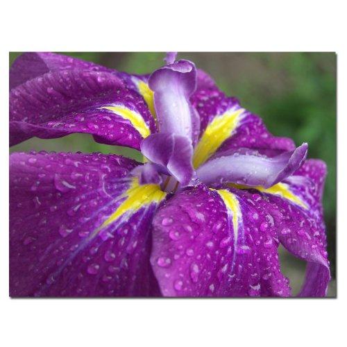 Napa Home & Garden Napa Floral Collection-Mossy Wrapped Twig Orb 6 inches