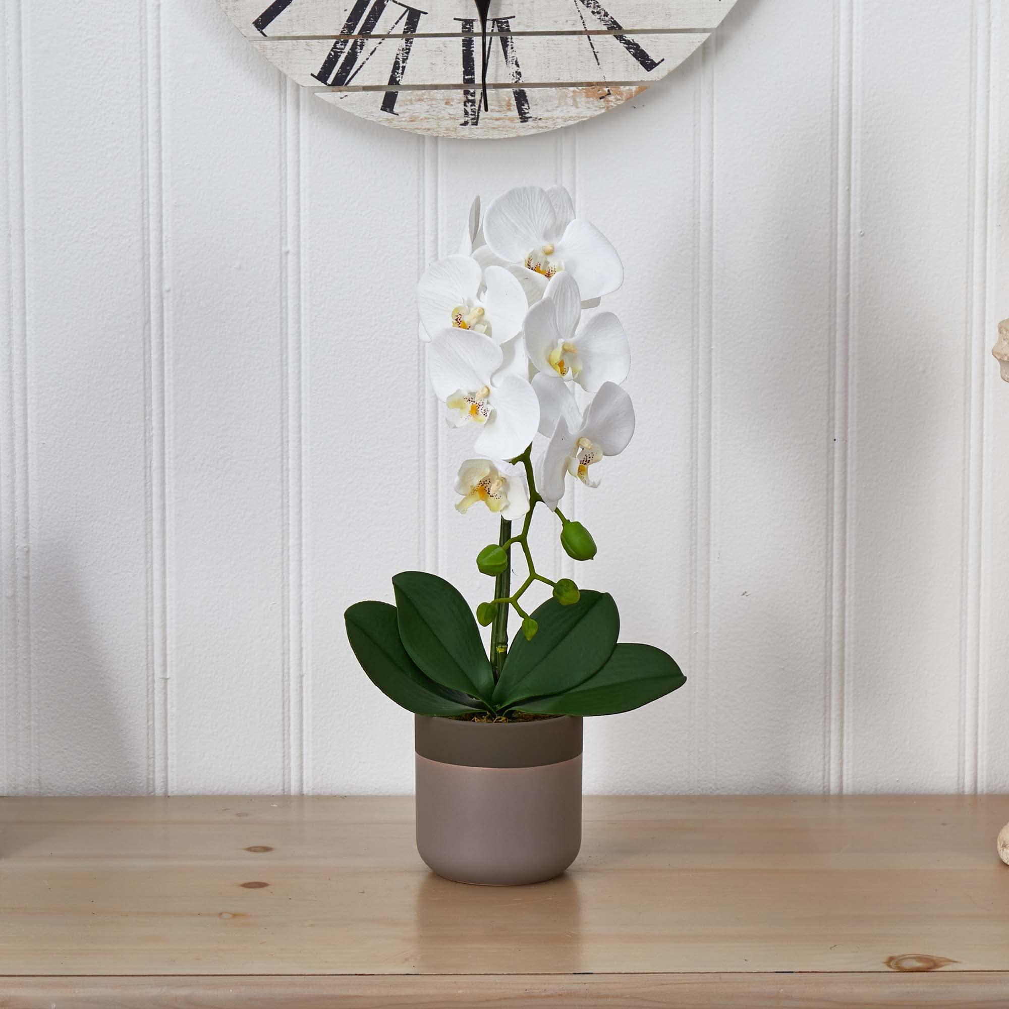 Nearly Natural Nearly Natural Phalaenopsis Orchid in Ceramic Pot