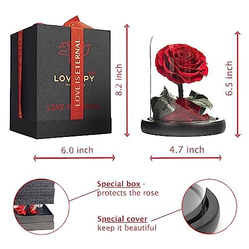 LOVAPPY LOVAPPY Eternal Enchanted Forever Preserved Rose - Infinity Rose in Glass Dome - Made from Real Fresh Beauty Rose - Romantic Gifts for Female - Valentines Day - Gift for Mom (Red, 6,5 inch)