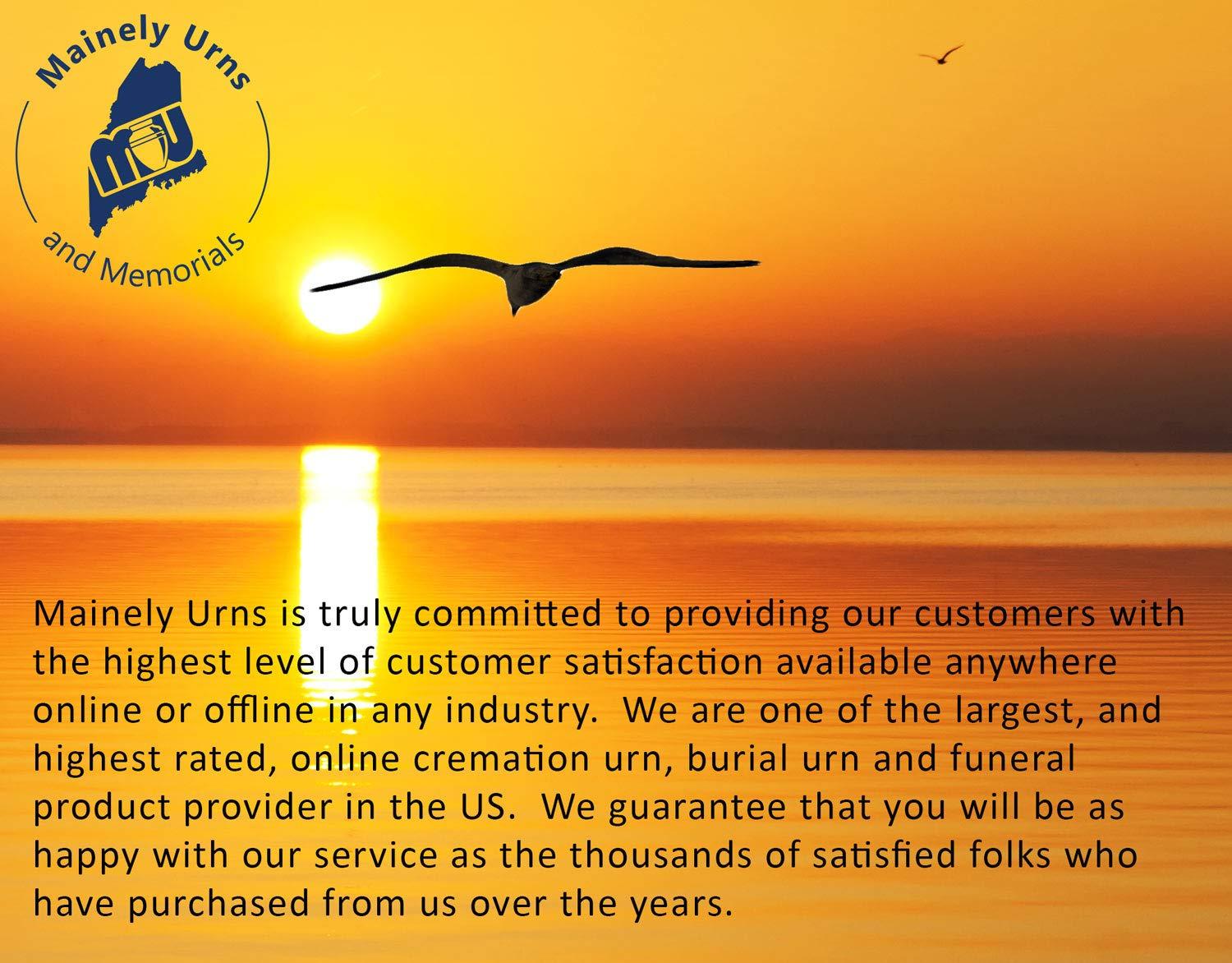 Mainely Urns Hummingbird Themed Rose Promise Cremation Urn for Ashes with Personalization - Cultured Marble Urn - 200 Cubic Inch Capacity for a Person Weighing Up to 200 Pounds