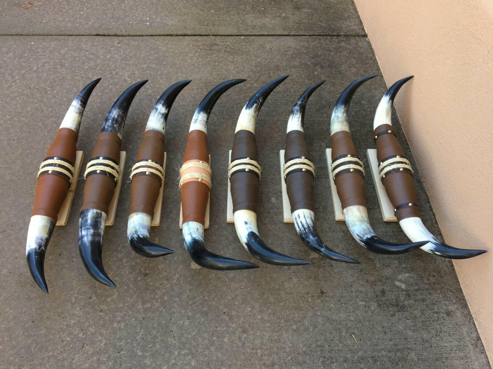 TruBlu Supply Real Mounted 27" inches - 32" Steer Cow Bull Texas Long Horns (One Set Only) Longhorn (27 inch - 32 inch)