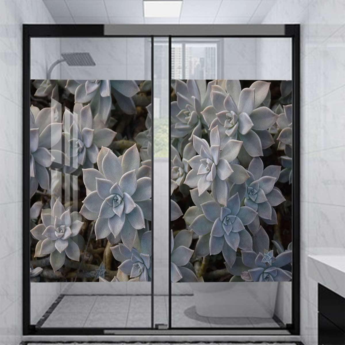 Generic Green Decorative Vinyl Window Film Frosted Glass Sticker Static Cling Window Covering for Privacy Decoration Cute Succulents Flower Desert Frosted Glass Film 27.6Wx47.2L-inch x2 Pcs
