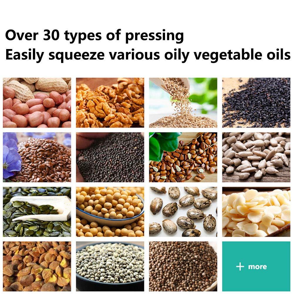 GagalU 635W Commercial Oil Press Machine Hot/Cold Oil Press Extractor Automatic Constant Thermostat with 0 -300 Stainless Steel Oil Press Expeller for Olive Coconut Canola Sesame Peanut Grinder