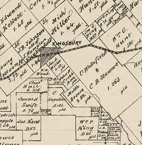 Generic Guadalupe County, Texas - 1880 - Wall Map with Land Owners names - General Land Office - Genealogy - Old Map Reprint