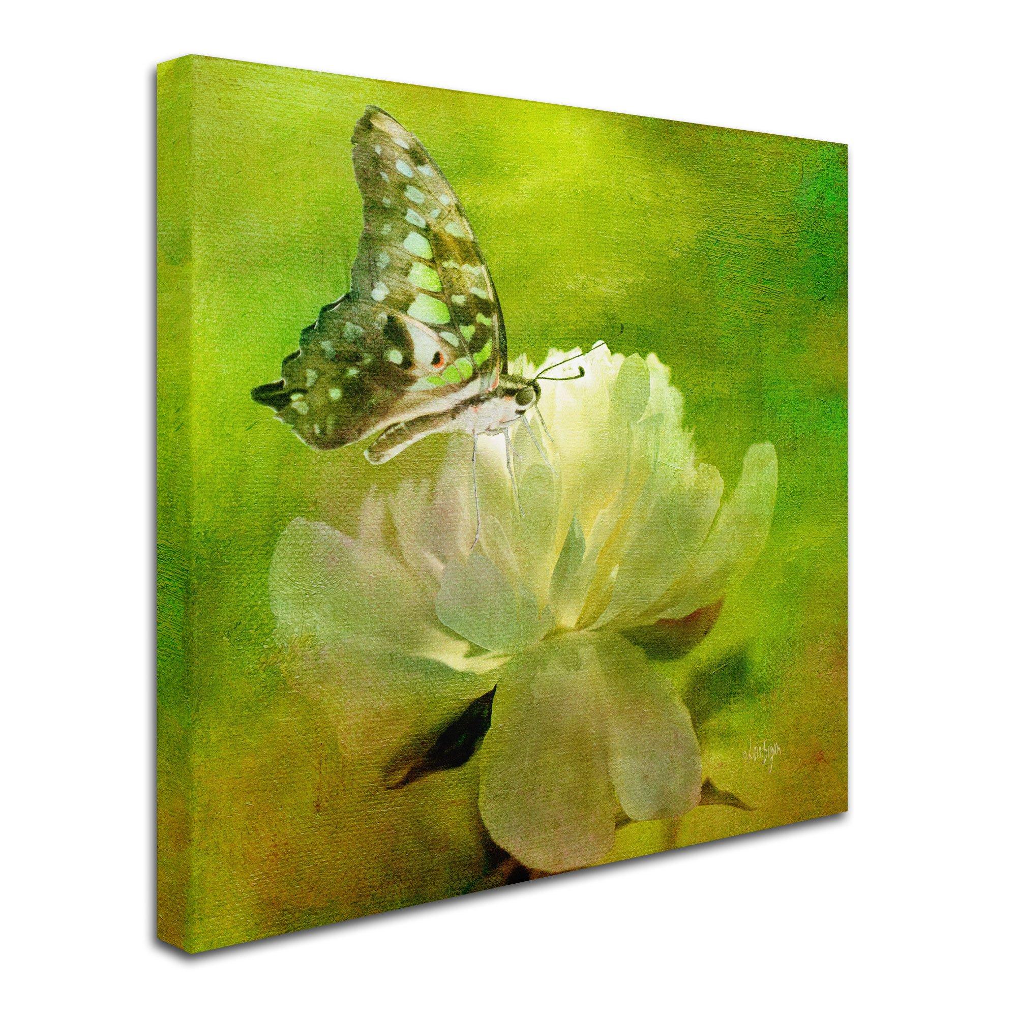 BuyEnLarge Buyenlarge Bear\'s Picnic Elephant Trunk 20x30 poster