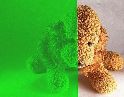 Boddingtons Brewery Boddingtons Shaped Pint Glass | Set of 2