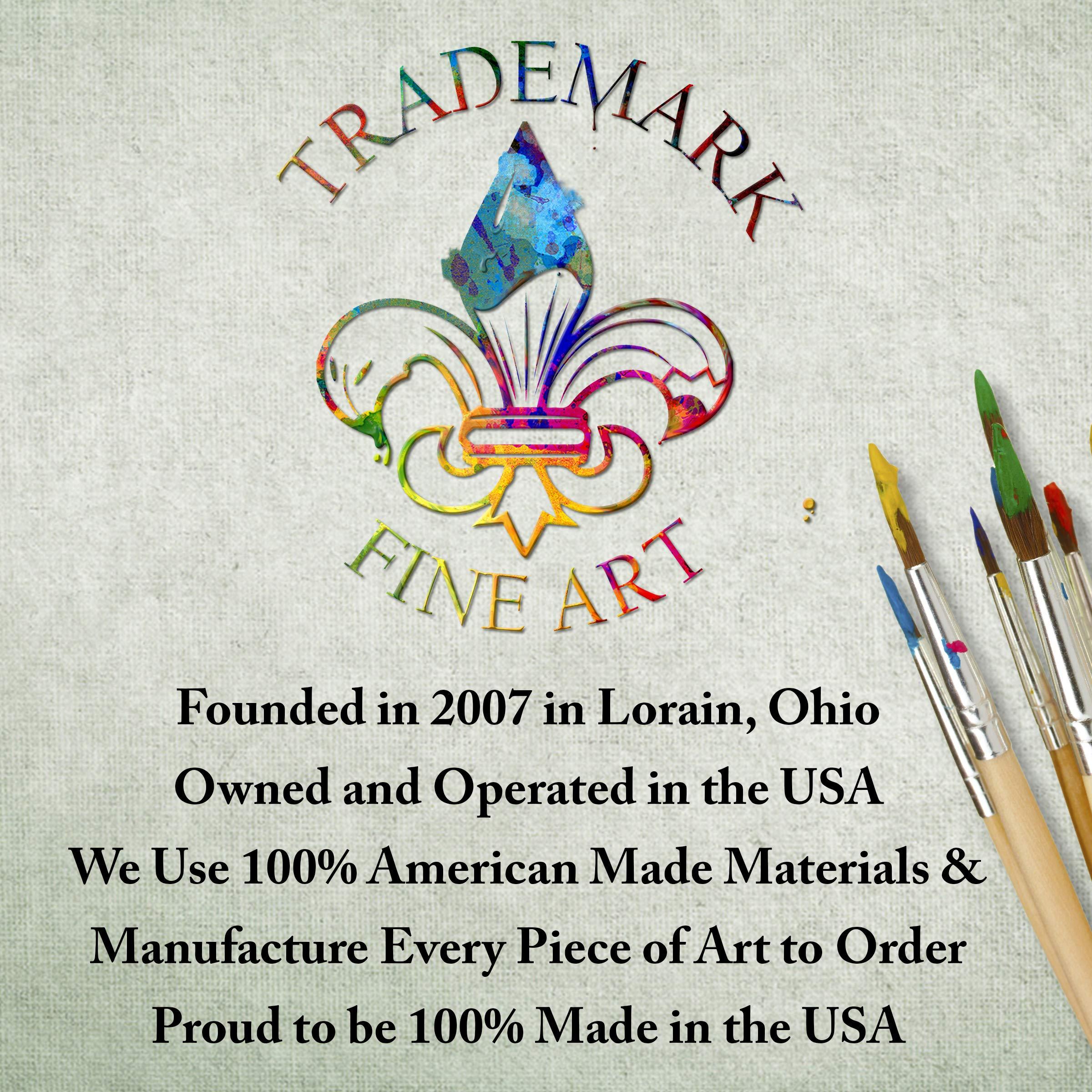 Trademark Fine Art Trademark Fine Art, 24x24 Whimsy Field I by Jennifer Goldberger, Multiple