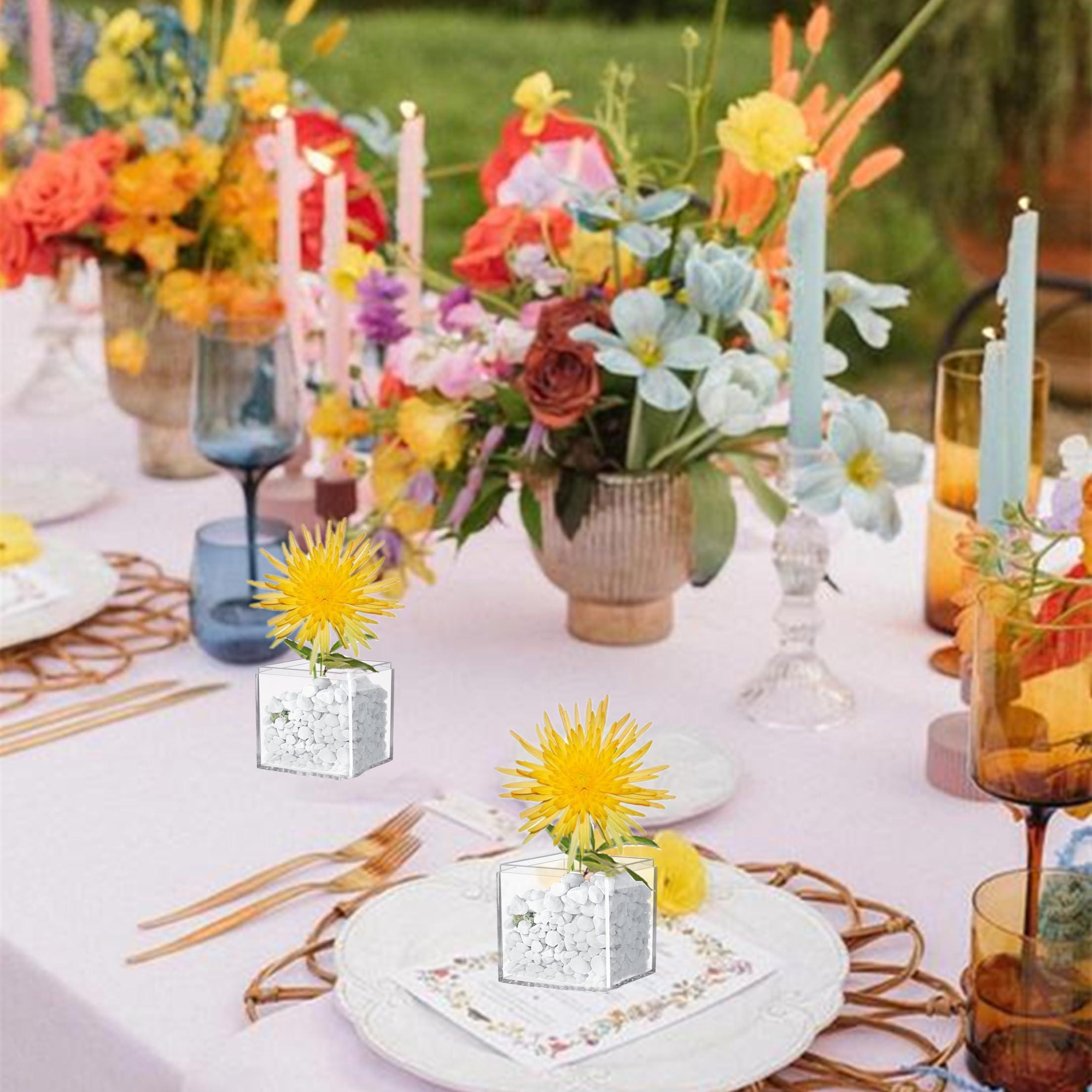 KissYou Acrylic Box Clear Box with Lid 12 Packs Transparent Small Acrylic Candy Box Party Favor Display Square Cube Wedding Birthday Christmas Decorations Party Jewlry Presents Gift Box 2.2x2.2x2.2 Inch