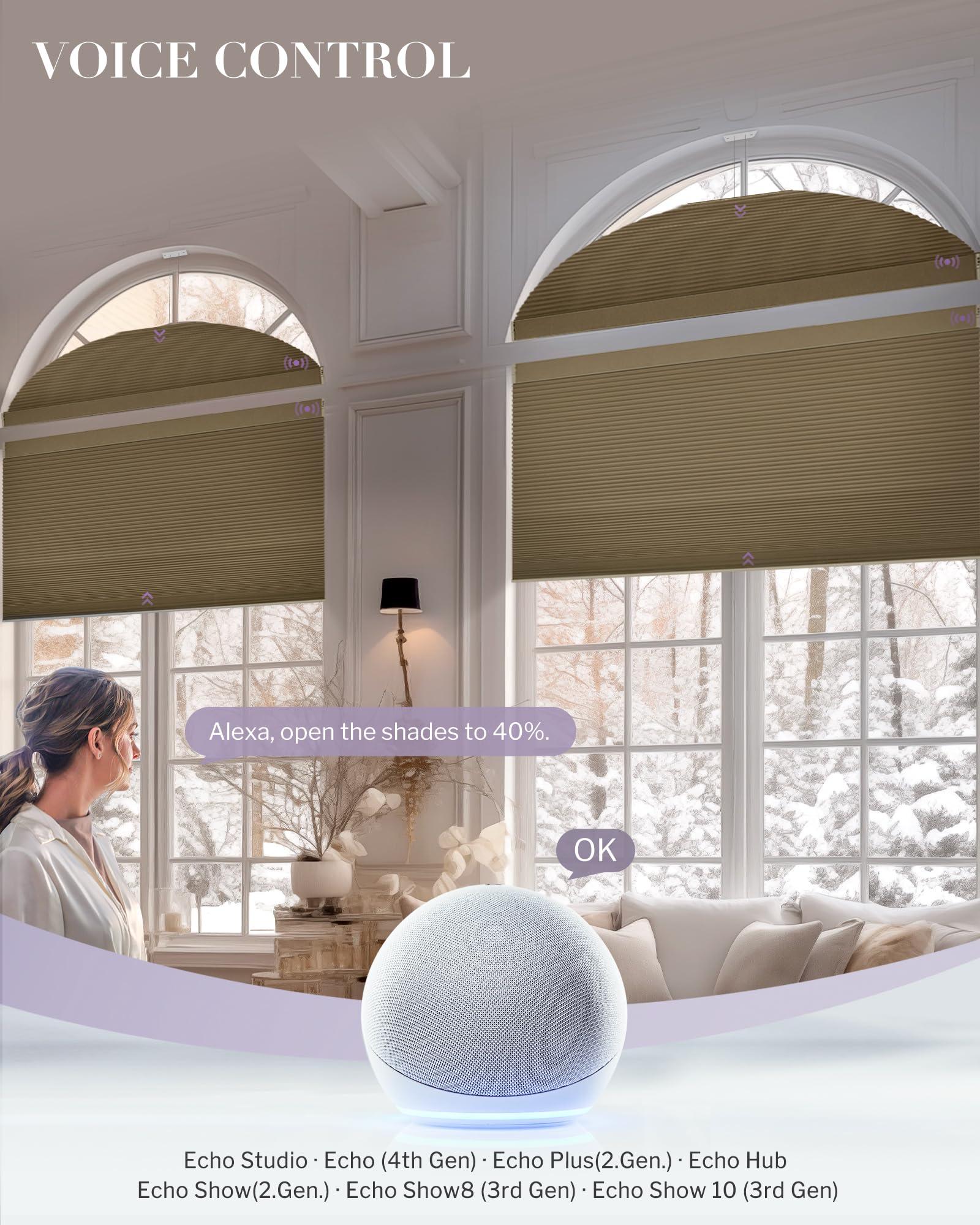 Graywind Graywind Smart Arched Blinds Compatible with Alexa Google Motorized Perfect Arch Shades Solar Powered, Customized for Odd-Shaped Window (Blackout Burlywood)