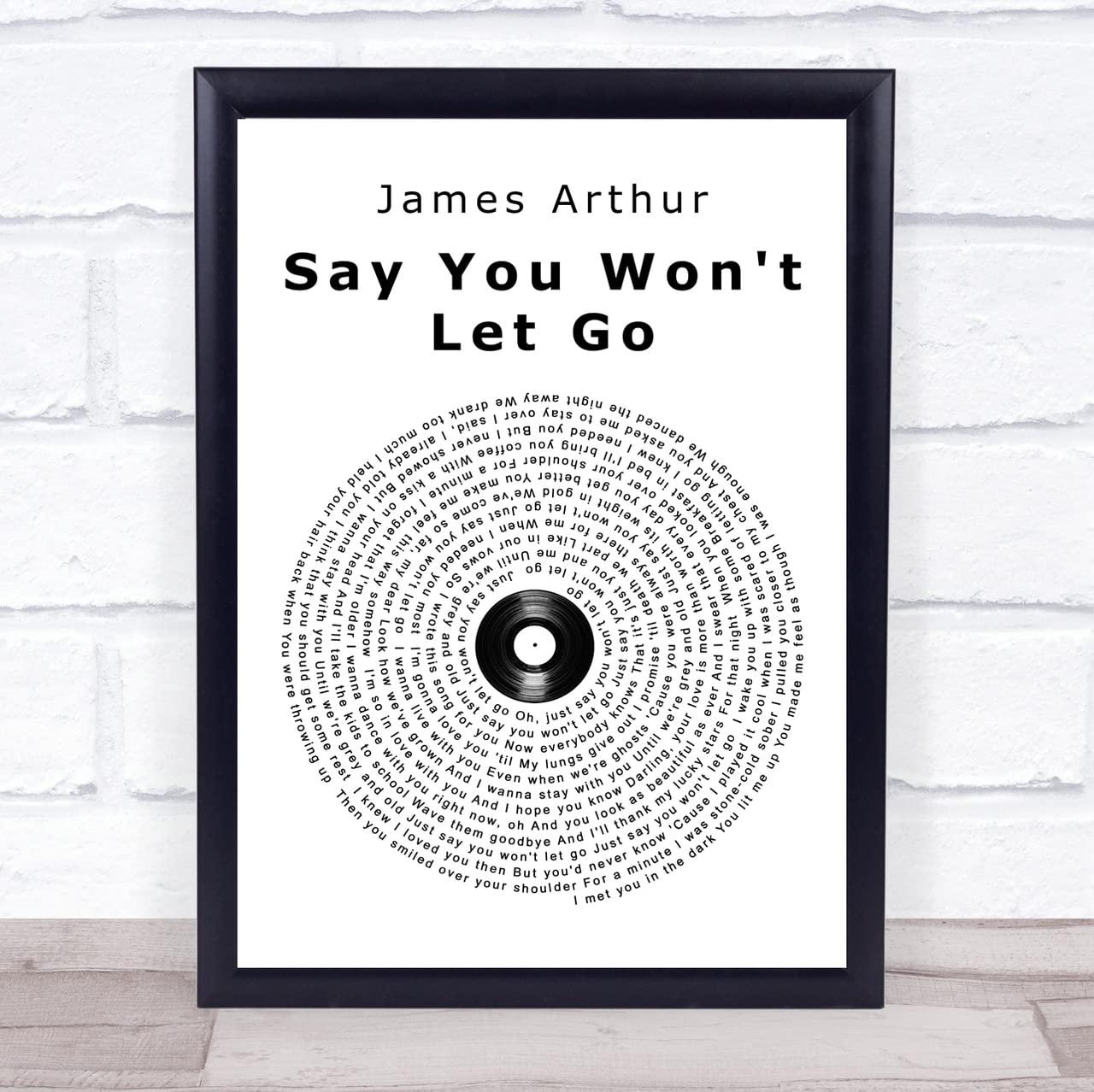 The Card Zoo Say You Won\'t Let Go Vinyl Record Song Lyric Quote Print