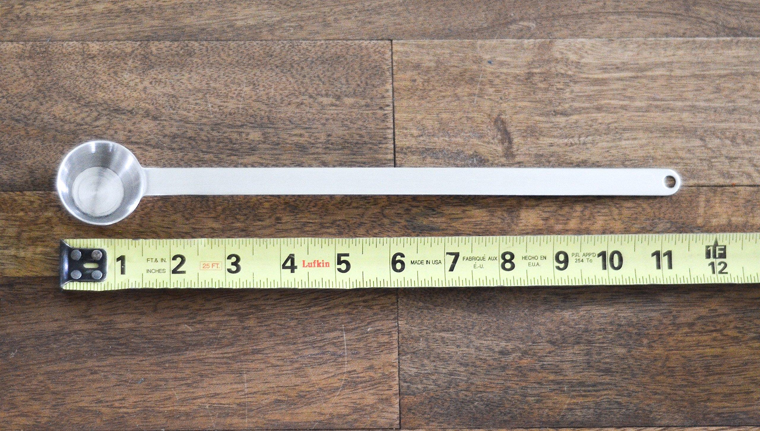 EcoSmart EcoSmart 60W Equivalent Daylight A19 Energy Star, Dimmable LED Light Bulb (8 Pack)