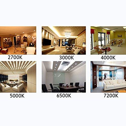 Rysa Light 4-Pack Warm White Par20 LED Bulb 7W (50W Equivalent) Dimmable 3000K Glow 40 Degree Beam Angle Flood Light Bulb Medium Base E26 UL-Listed