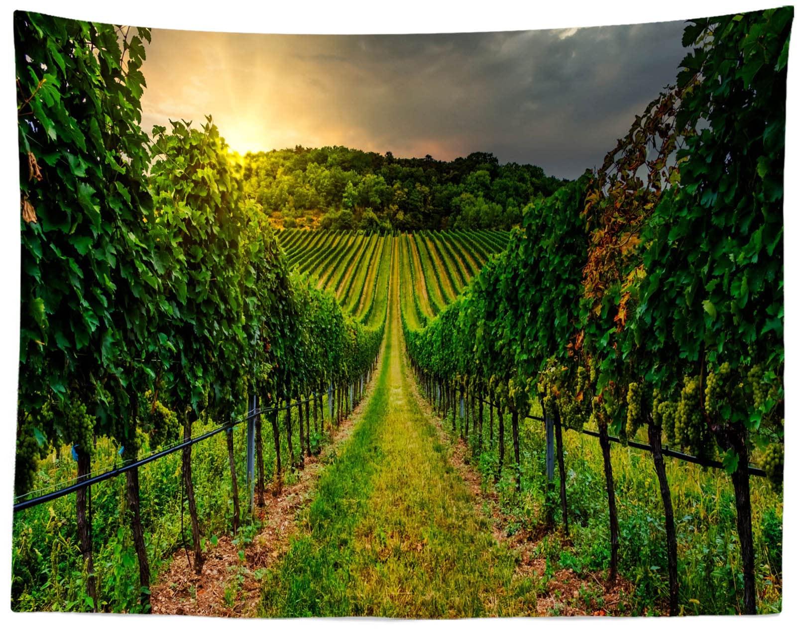 Loccor Loccor Vineyard Tapestry Farm Sunset Green Vineyard Landscape Tapestry Wall Hanging Vineyard Grapevine Field Wine Tapestry for Living Room Bedroom Dorm Home Decor 140x100inch