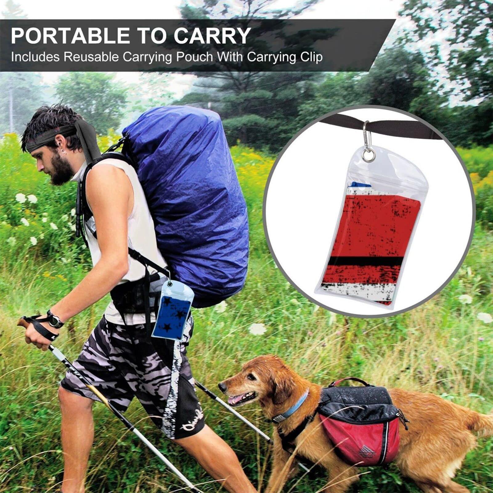 Elgi Elgi Ultra Bigg+ 2.5 Liter Table Top Wet Grinder | With Atta Kneader 110 Volt For USA & Canada, Blue