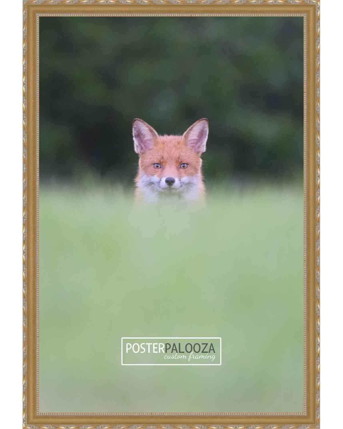 Poster Palooza Poster Palooza 20x30 Traditional Gold Complete Wood Picture Frame with UV Acrylic Plexiglass, Foam Board Backing & Hardware Included