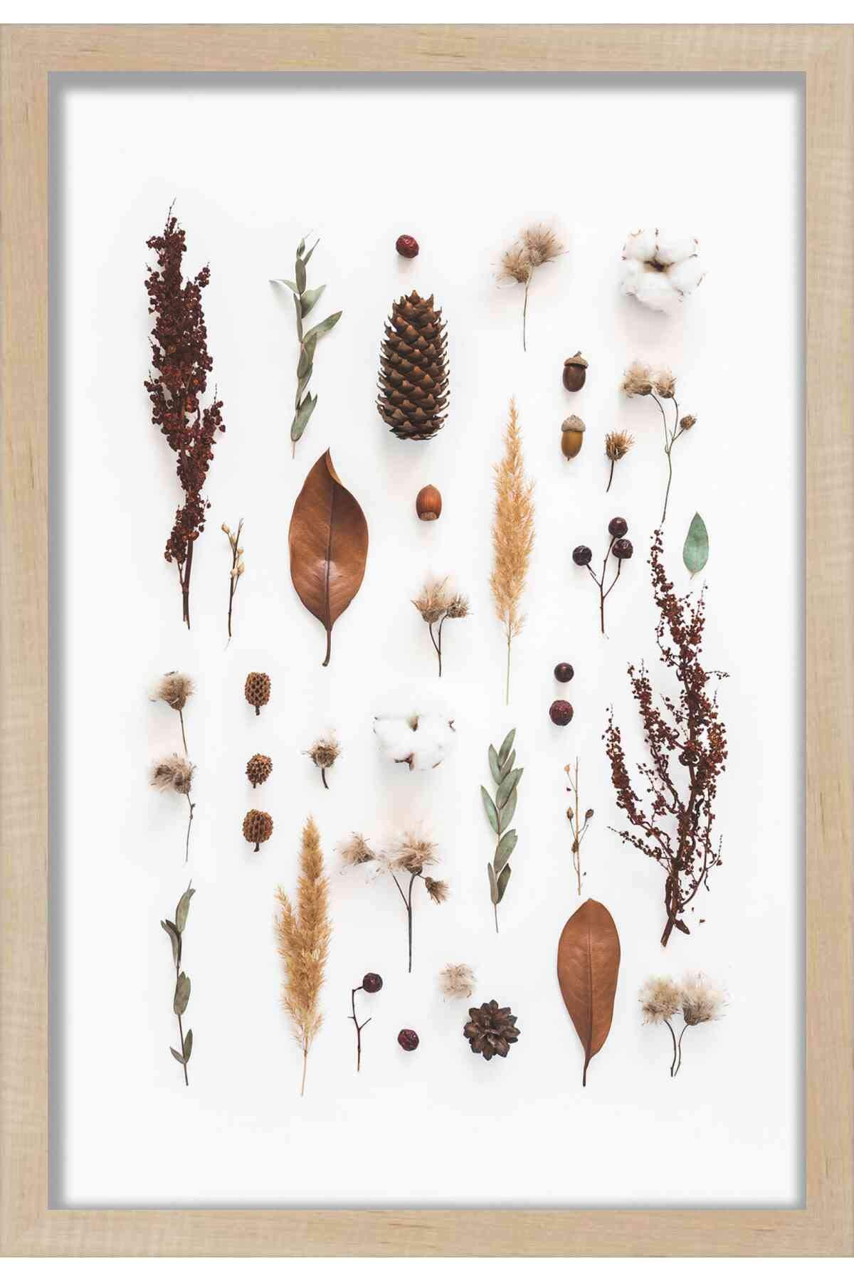 Jectse Cordless Electric Milk Frother with 2 Eggbeater Heads, 3 Modes, Fast and Efficient, Wide Range of Applications, (A)