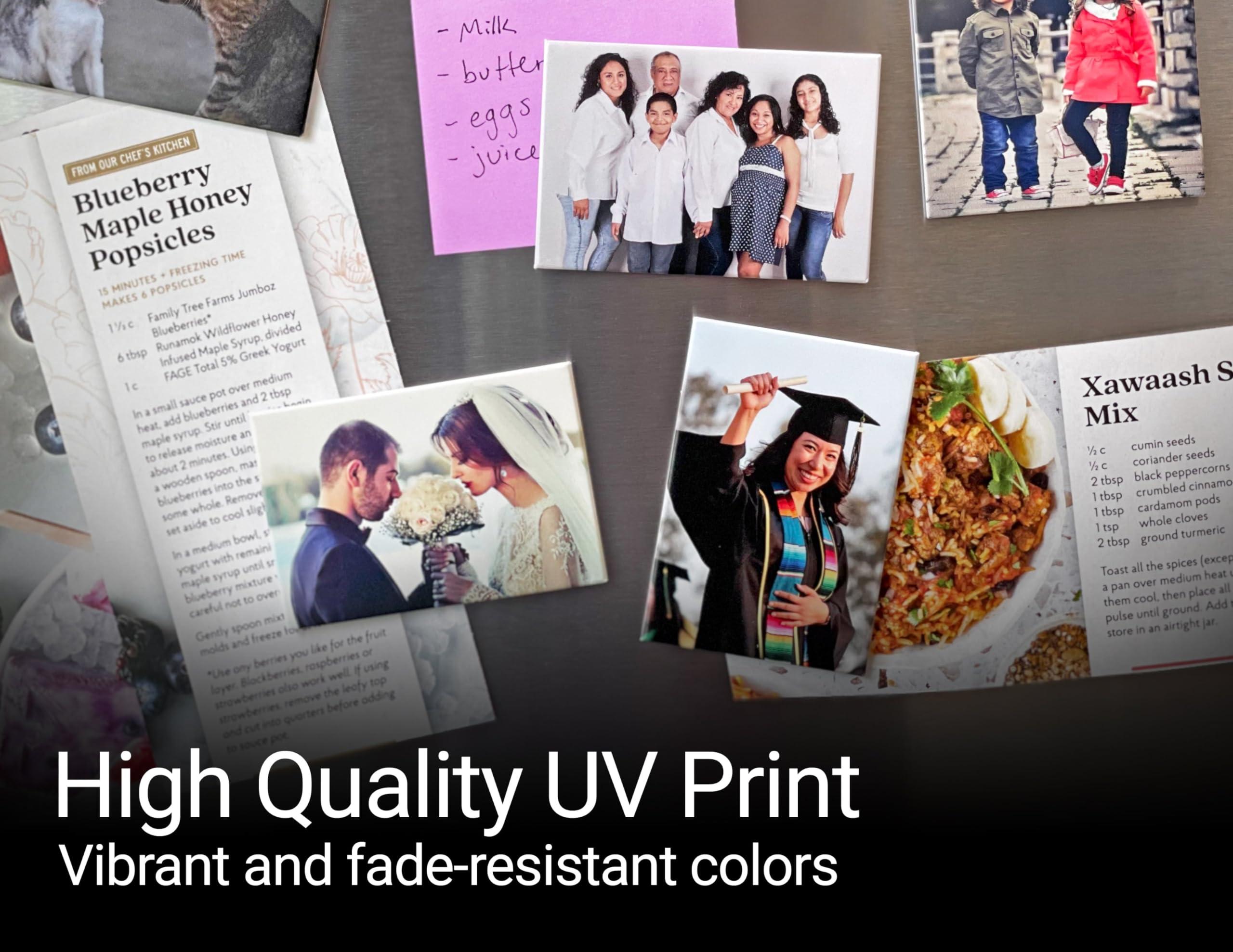 R and R Imports Outer Banks North Carolina Beach Souvenir Fridge Magnet Palm Design Single