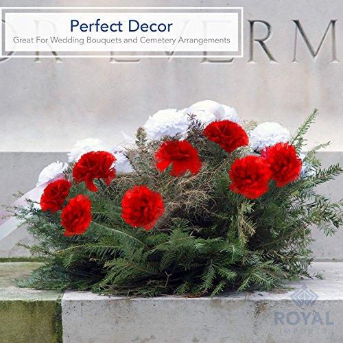 Royal Imports Royal Imports Artificial Carnations, Silk Faux Flowers, for Funeral Arrangements, Wedding Bouquets, Cemetery Wreaths, DIY Crafts - 100 Single 5" Stems - Hot Pink