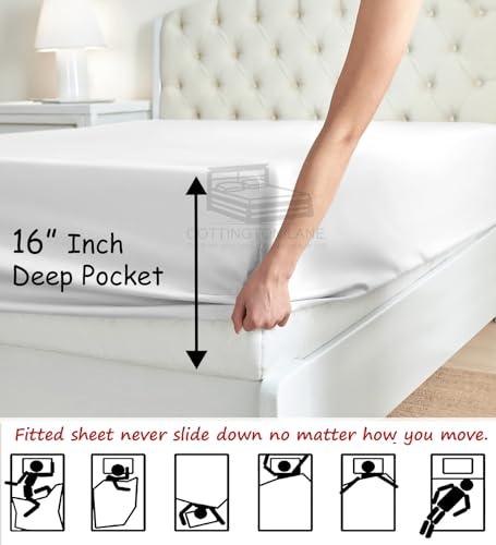 Cottington Lane Extra Long Twin XL Sheets Dorm-Twin XL Sheets-Cotton Bed Sheets Twin XL Size-College Dorm Room Bed Sheets Twin XL-16 Inch Deep Pocket Twin XL Fitted Sheet with Elastic All Around(White)