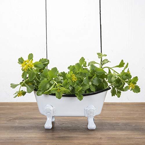 Foreside Home and Garden Foreside Home & Garden Black Rim White Enamel Bathtub Soap Dish