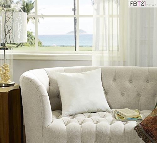 FBTS Basic FBTS Basic Throw Pillow Inserts 18x18 Inch Square Sham Stuffer Down Alternative Pillow Forms for Decorative Cushions and Pillows