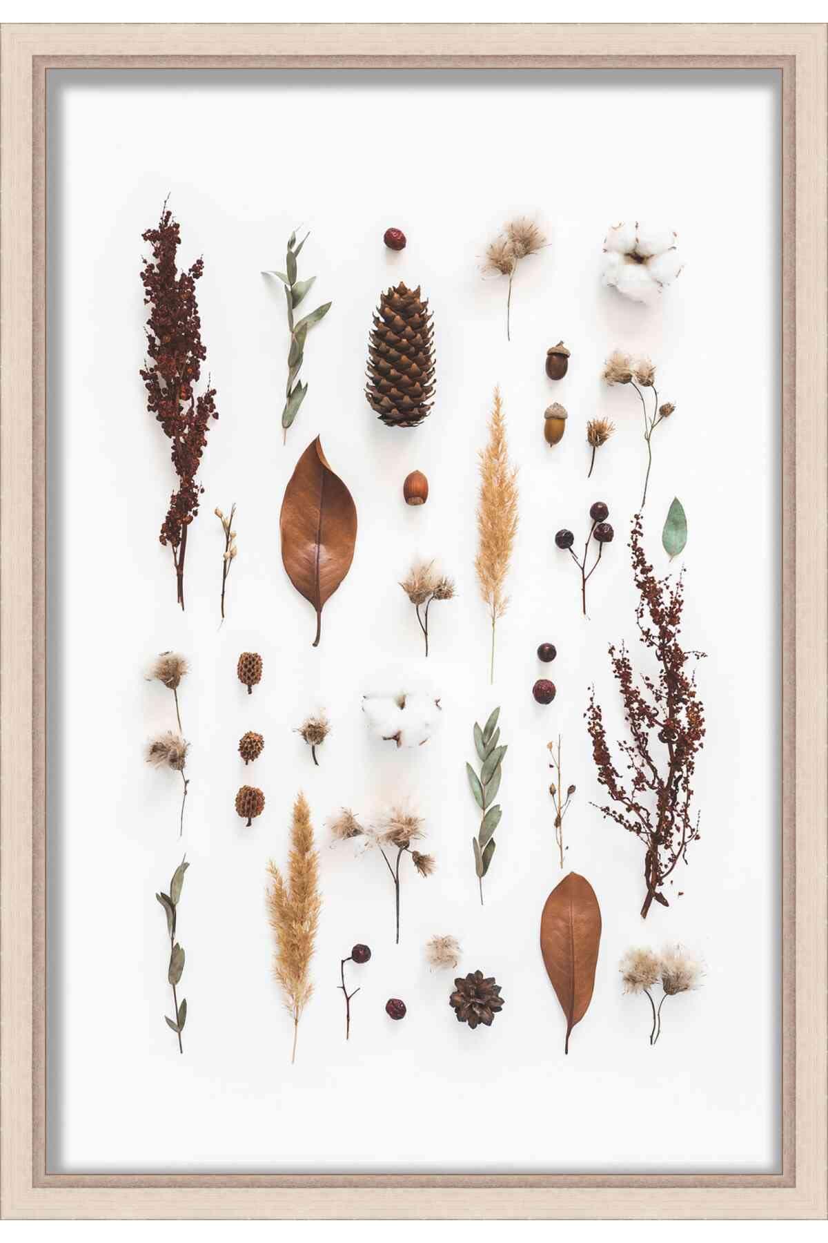 Poster Palooza 16x8 Silver Shadowbox Frame - Shadow Box Frame Interior Size 16x8 x 1.25 Inches Deep - Silver Frame Made to Display Items Up to 1.25 Inches Deep! Includes Shatter Resistant Acrylic, Backing, Hardware