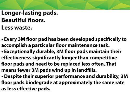 3M 3M White Super Polish Pad 4100, 12 in