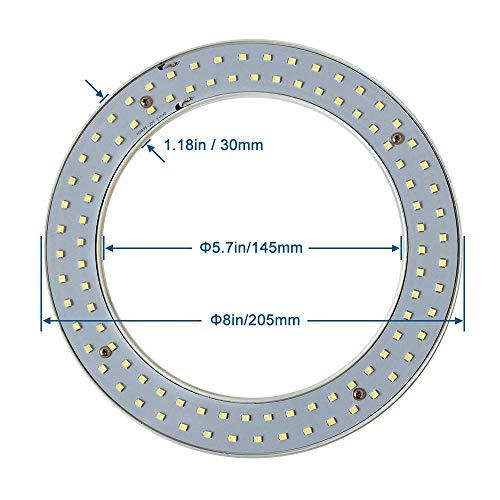 iledlight T9 LED Circline Light Bulb, 8 Inch 1600LM LED Circular Light, 13W Clear Cover 4000K Soft White Replacement for FC8T9 22-Watt Fluorescent Circular Bulb(FC8T9), Ballast Bypass Required