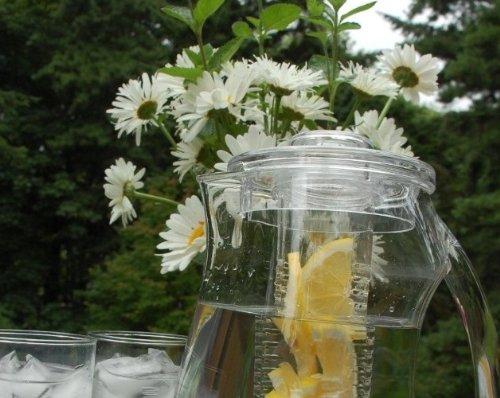 Prodyne Prodyne Fruit Infusion Flavor Pitcher, Clear, 93 oz.