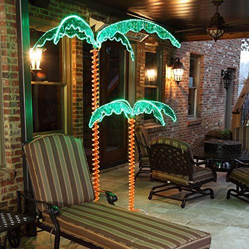 Wintergreen Lighting Deluxe Tropical LED Rope Light Palm Tree with Lighted Holographic Trunk and Fronds (4.5 Foot)