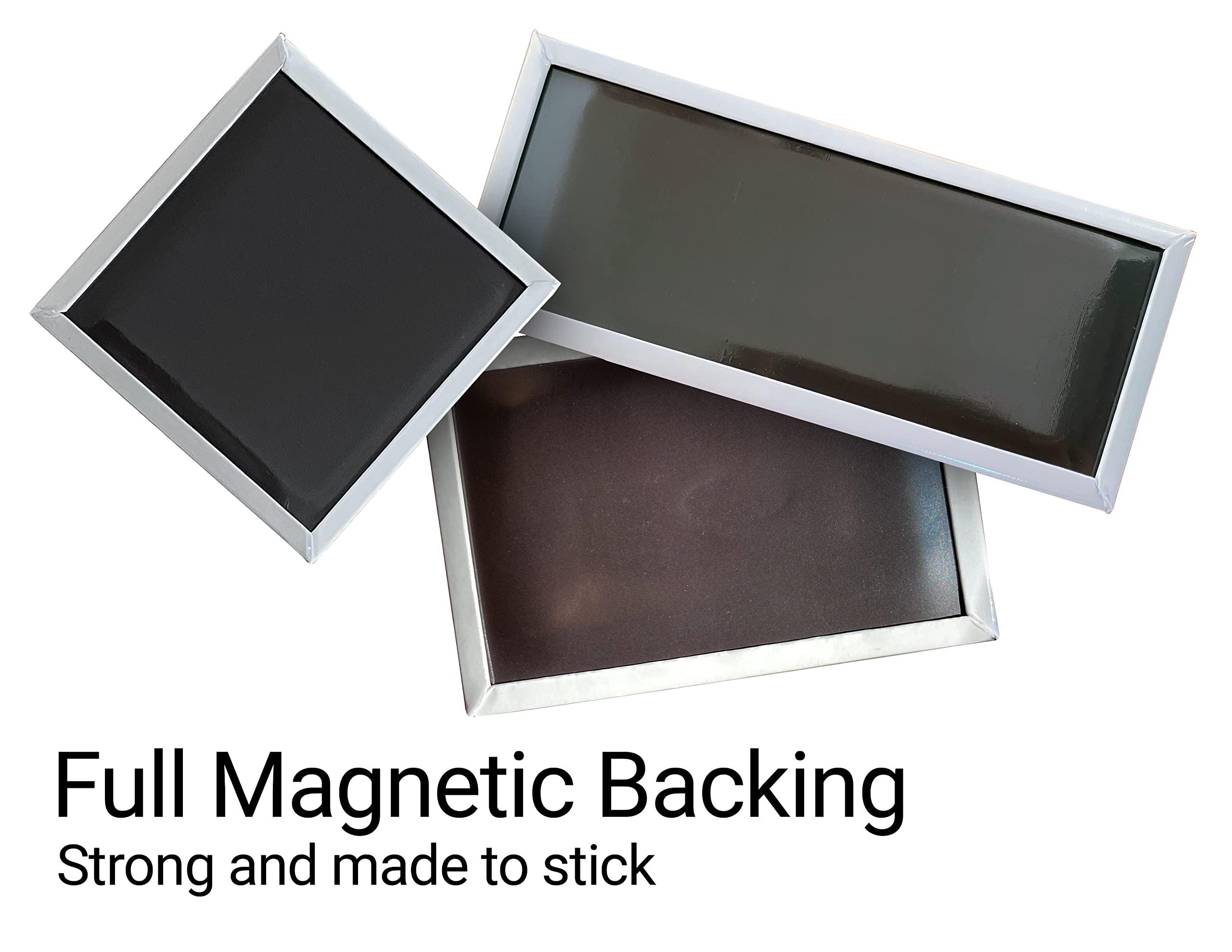 R and R Imports Outer Banks North Carolina Beach Souvenir Fridge Magnet Palm Design Single