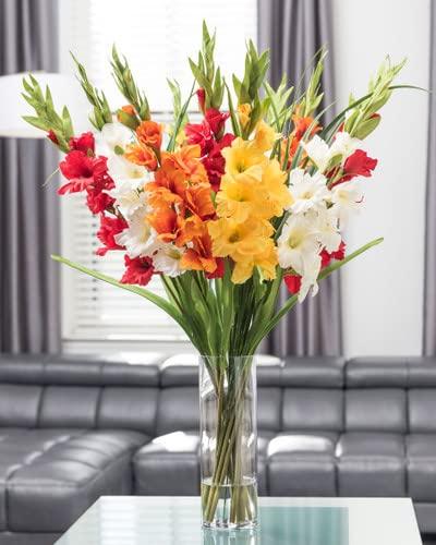 Petals Petals Gladiolus Silk Flower Arrangement - Mixed Colors