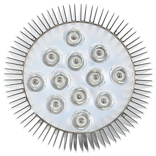 ABI ABI LED Light Bulb for Red Light Therapy, 660nm Deep Red and 850nm Near Infrared Combo, 24W Class