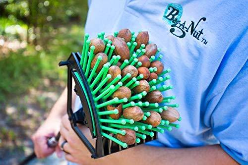 Bag-A-Nut Stab-A-Nut Pecan Harvester Also Picks up Large Acorns, Hazelnuts/Filberts, and Almonds Nut Picker Upper