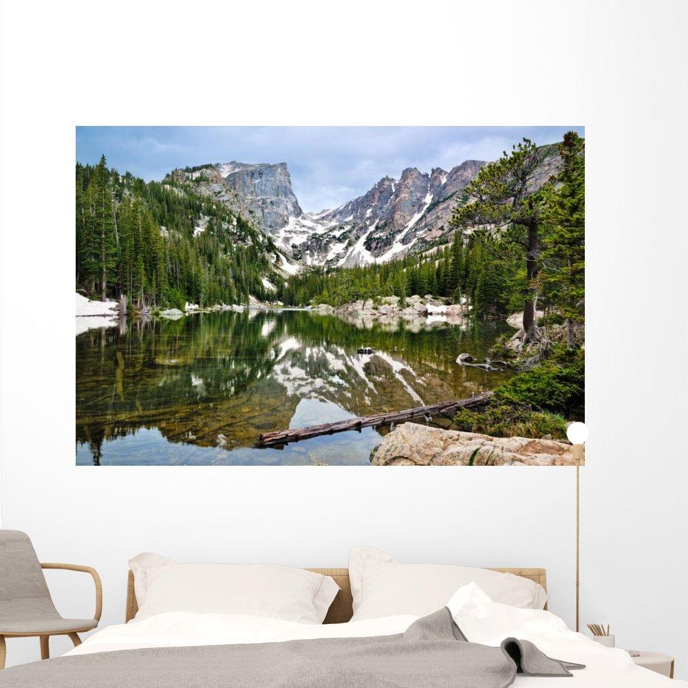 Novelty Lights 25 Foot C9 Multi Ceramic Christmas String Light Set - Outdoor Christmas Light String - Opaque Christmas Bulbs - Roofline Light String Outdoor String Lights - Brown Wire