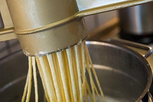 Goldspatz Germany Goldspatz Spaetzle Maker & Potato Press for Round Spaetzle
