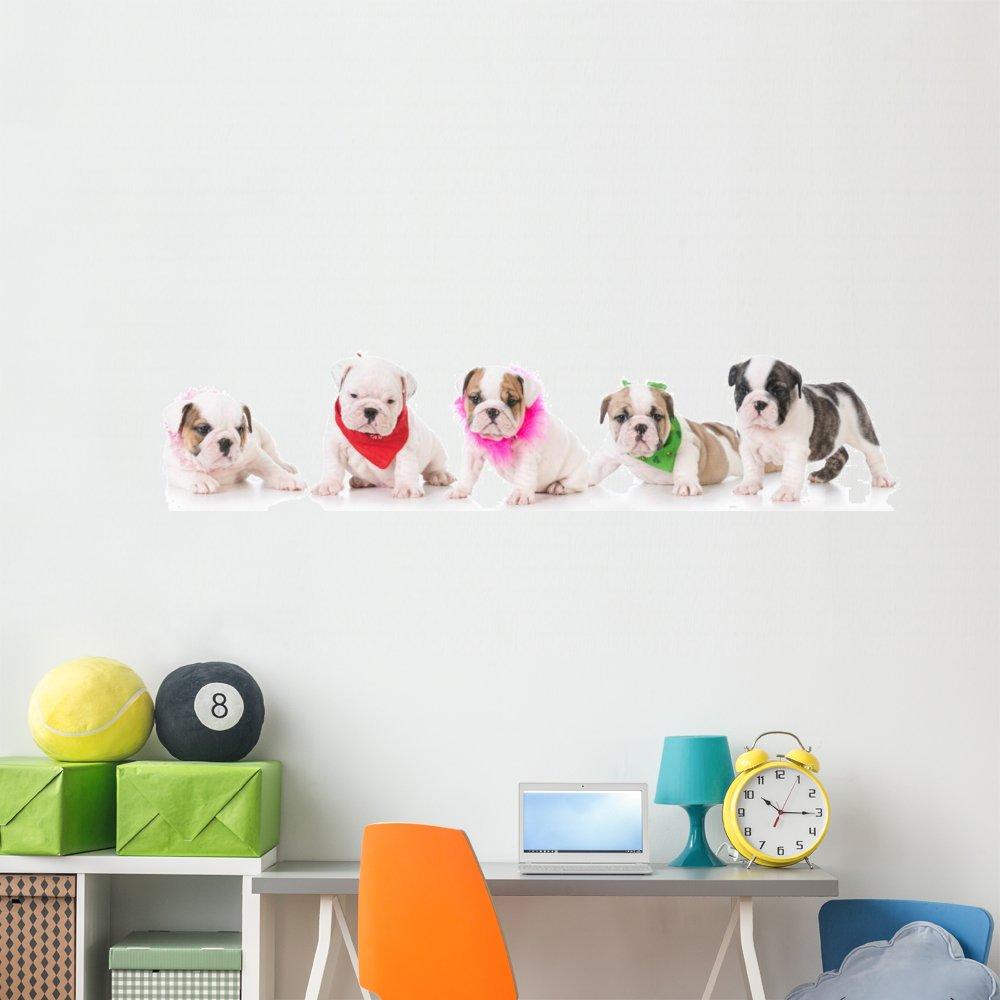 AVANTEK AVANTEK Wireless Doorbell, D-3W Waterproof Door Chime Kit Operating at over 1300 Feet with 2 Plug-In Receivers, 52 Melodies, CD Quality Sound and LED Flash