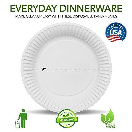 Stock Your Home Stock Your Home 9-Inch Paper Plates Uncoated, Everyday Disposable Plates 9\" Paper Plate Bulk, White, 300 Count